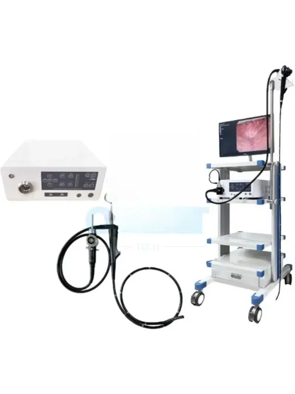 Pet endoscope 8mm, curved in four directions, suitable for animal clinics in Europe, with trolley
