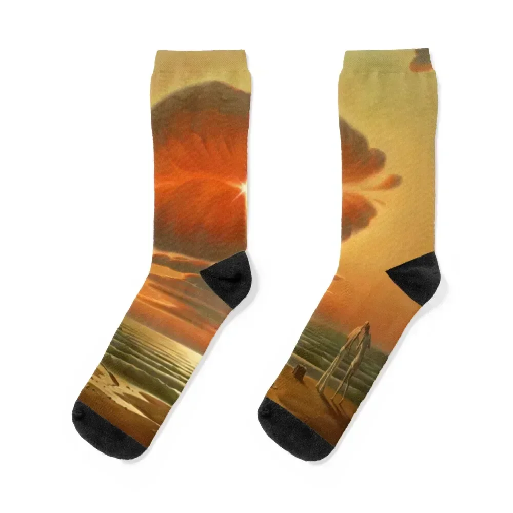 Dali Art, Salvador Dali Paints, Surrealism Art Socks christmas stocking warm winter happy floor Men Socks Luxury Brand Women's