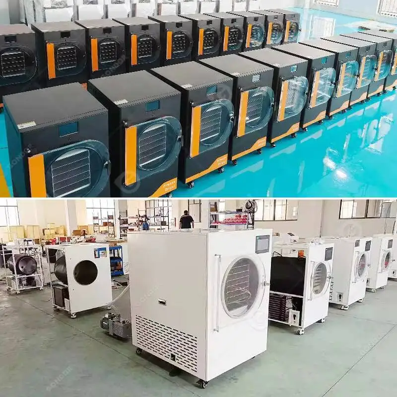 Pequeño congelación Mini Liofilizador Secado Secador de Frutas Secas Australia Deshidratador casero Hine seca para alimentos