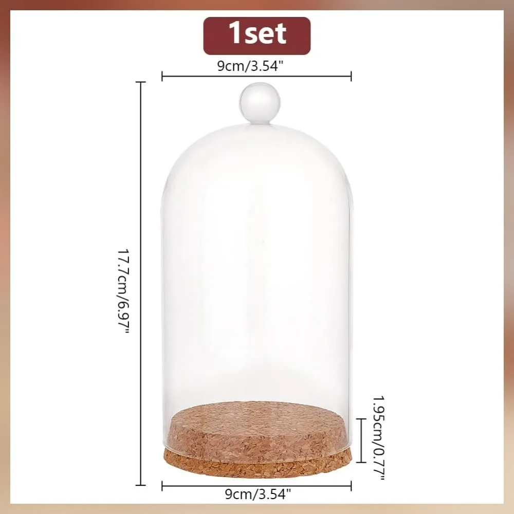 Cloche Glass Dome Cloche Bell Jar Display Dome Case with Wood Base Glass Decoration Bottles for Plants Flower Display Clay