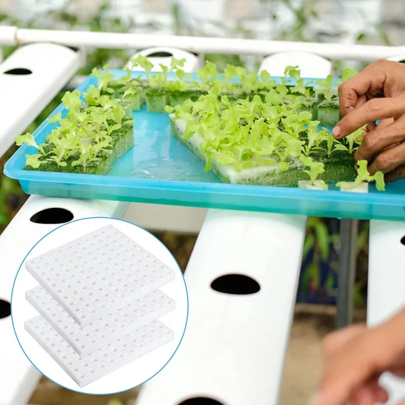 Sponges Nursery Pots Culture Vegetable Square Seedling Sponge Blocks Hydroponic Sponge Block Soilless Hydroponic Seedling