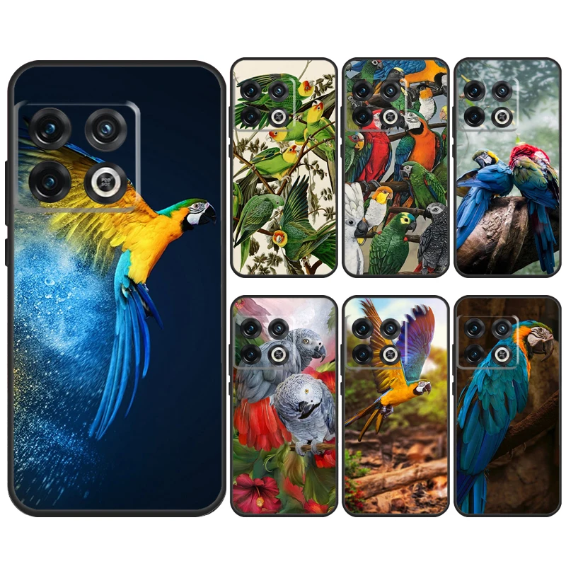 Animal Parrot Birds Case For OnePlus 12 11 9 10 Pro 8T 9RT 10T 10R 12R Nord CE 2 Lite CE3 CE4 2T N10 N20 Cover