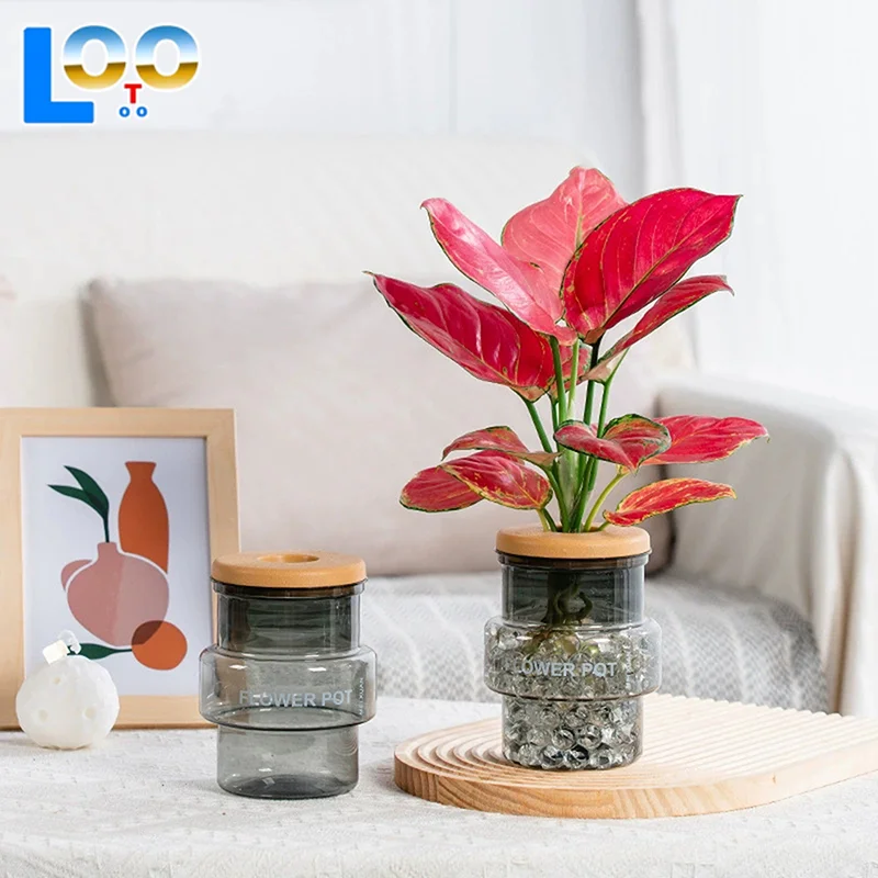 Прозрачный серый прозрачный цветочный горшок Офисный зеленый горшок для растений Домашний горшок