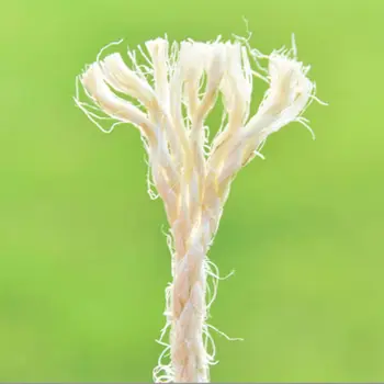 10 best sales proteggere il gatto - №6