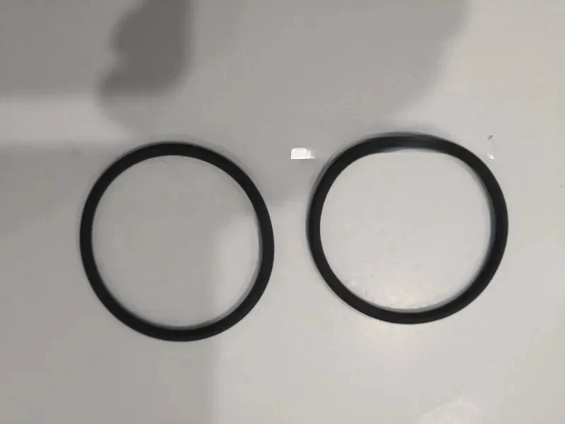 

Nordson hot melt adhesive machine sealing ring O-RING 44X3 VITON 250273