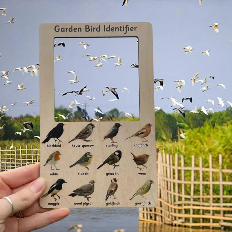 Nature Guide Finder Frame - Dual Sided Nature Guide Viewer, Garden Phase Identifier Easy Install Easy To Use (Birds)