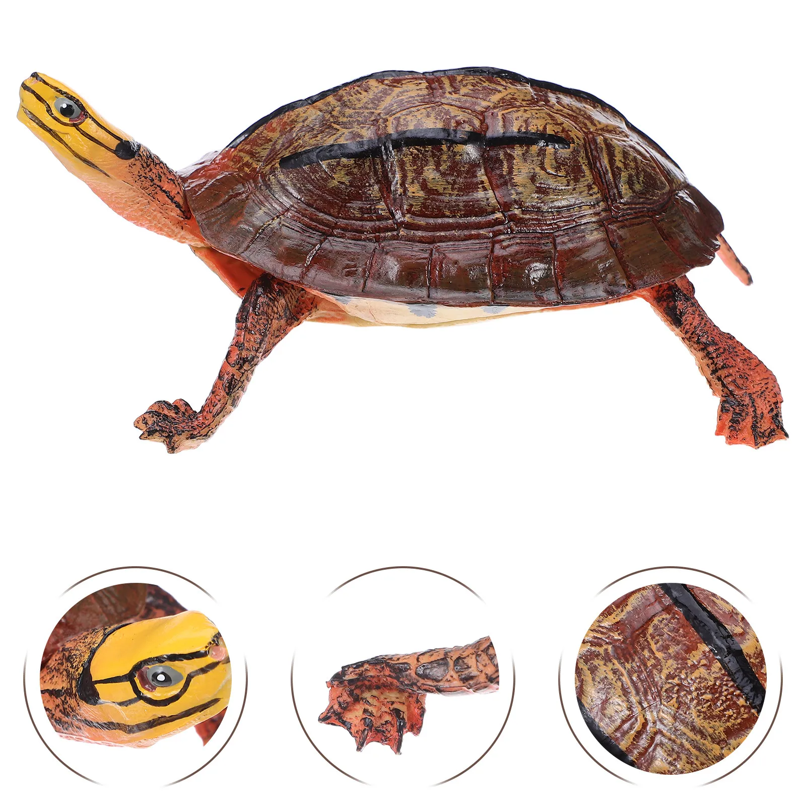 Plastic Simulation Turtle Desktop Decoration High Detail Fake Turtle Sculpture Home Garden Classroom Display Natural Animal