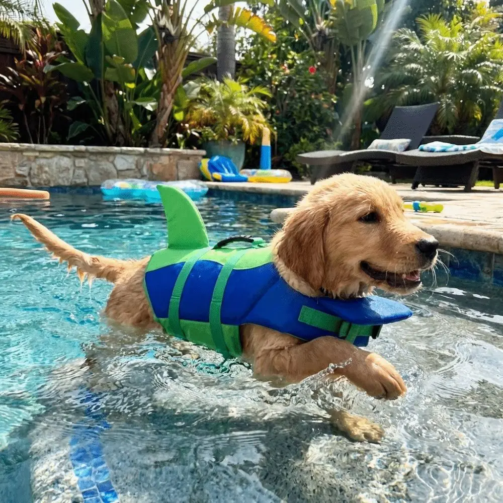 Gilet de sauvetage pour chien en forme de requin, flottabilité supérieure, veste de sauvetage réglable pour animaux de compagnie, haute visibilité, résistant aux déchirures, combinaison de natation pour chien