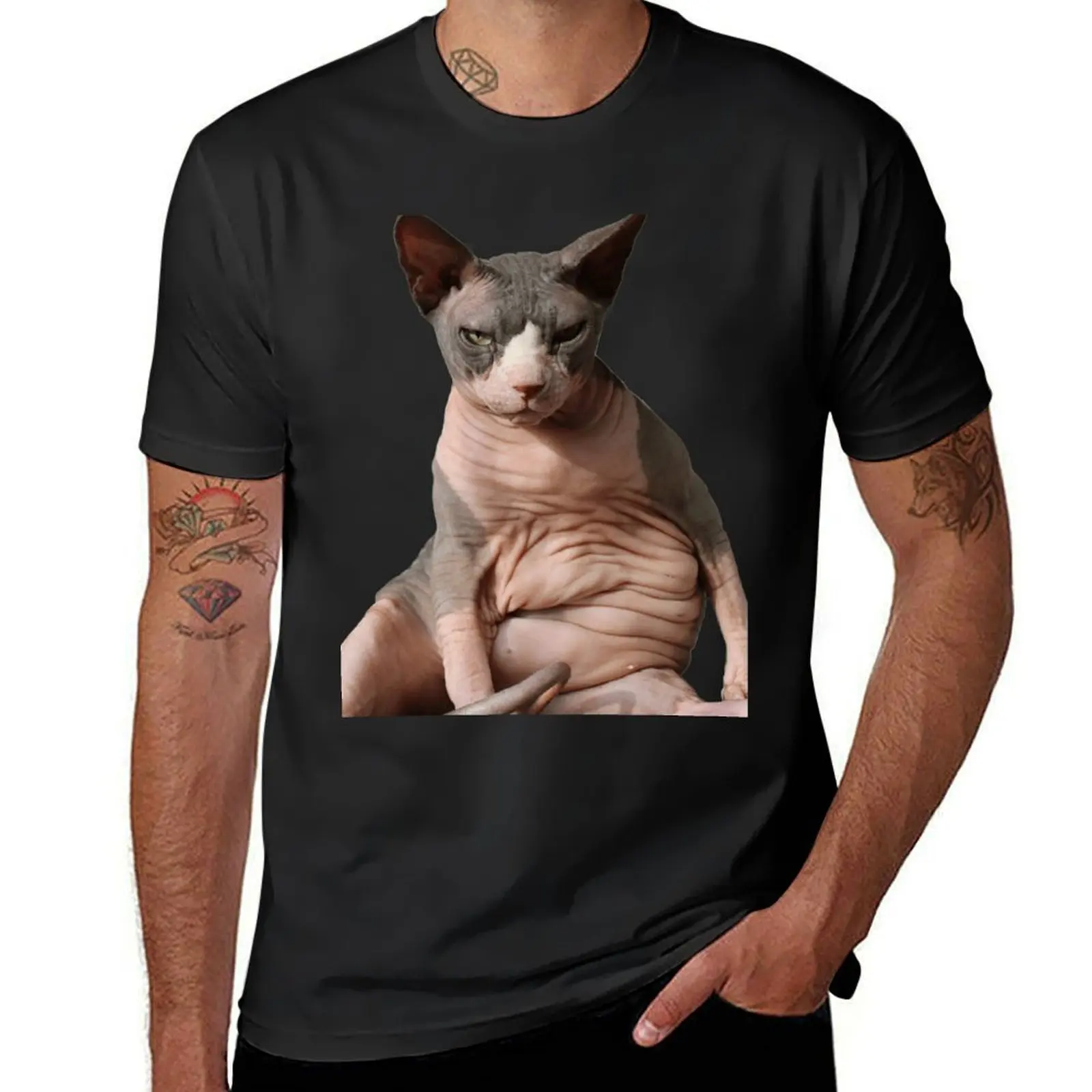 Giant hairless cat T-Shirt summer top boys whites mens workout shirts