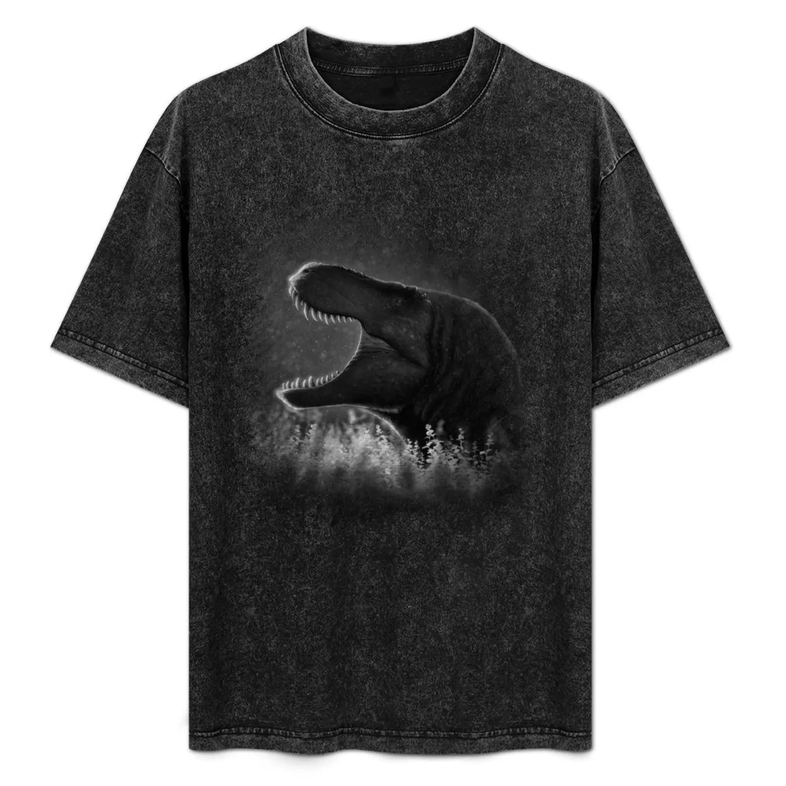 

The King Awakens (B&W) T-Shirt Plus Size Loose Fit T-Shirt