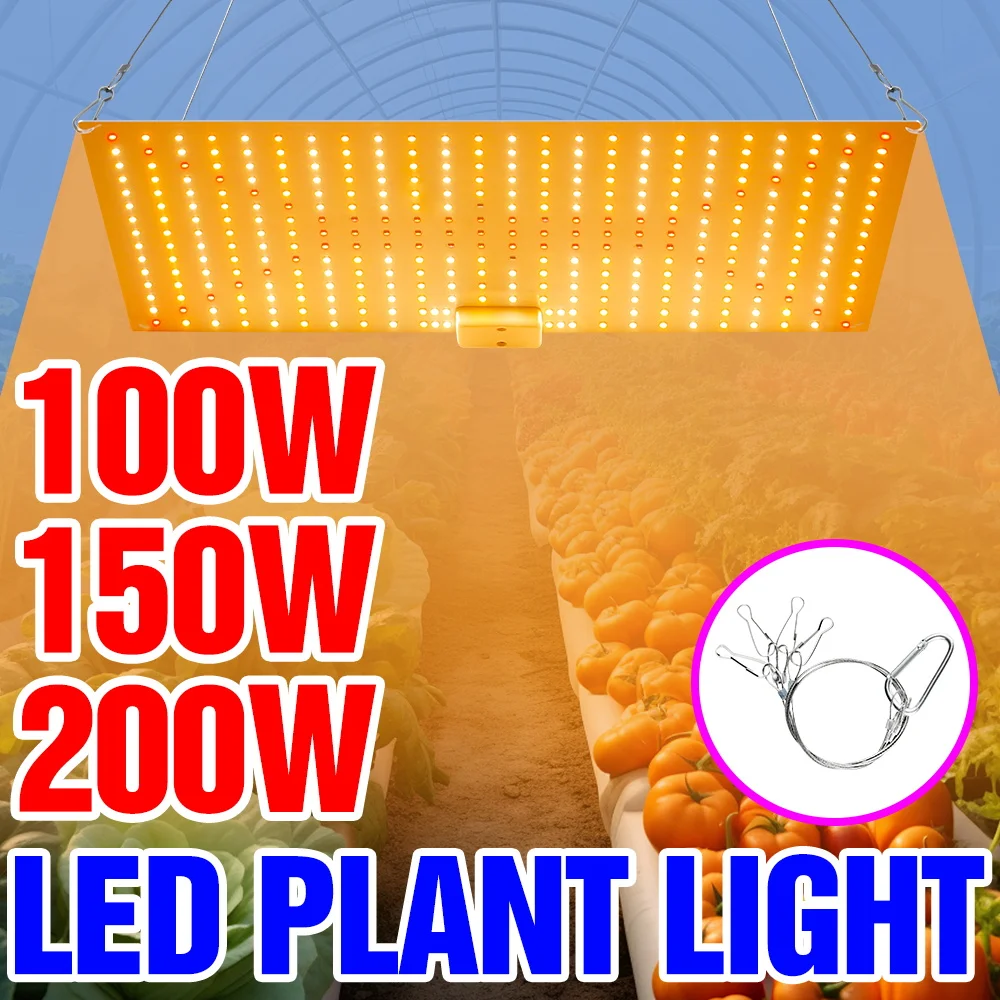 

Светодиодный светильник для выращивания растений 200 Вт, полный спектр, квантовая панель, УФ/ИК, для теплиц, гидропоники, фруктов, с вилкой US/EU