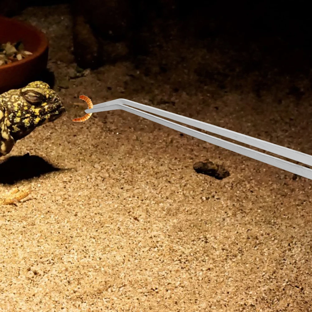 

2Pcs Long Aquarium Tweezers Heavy Duty Straight Curved Feeding Tools for Reptile Terrarium Fish Tank Care Flat Tipped Tweezers