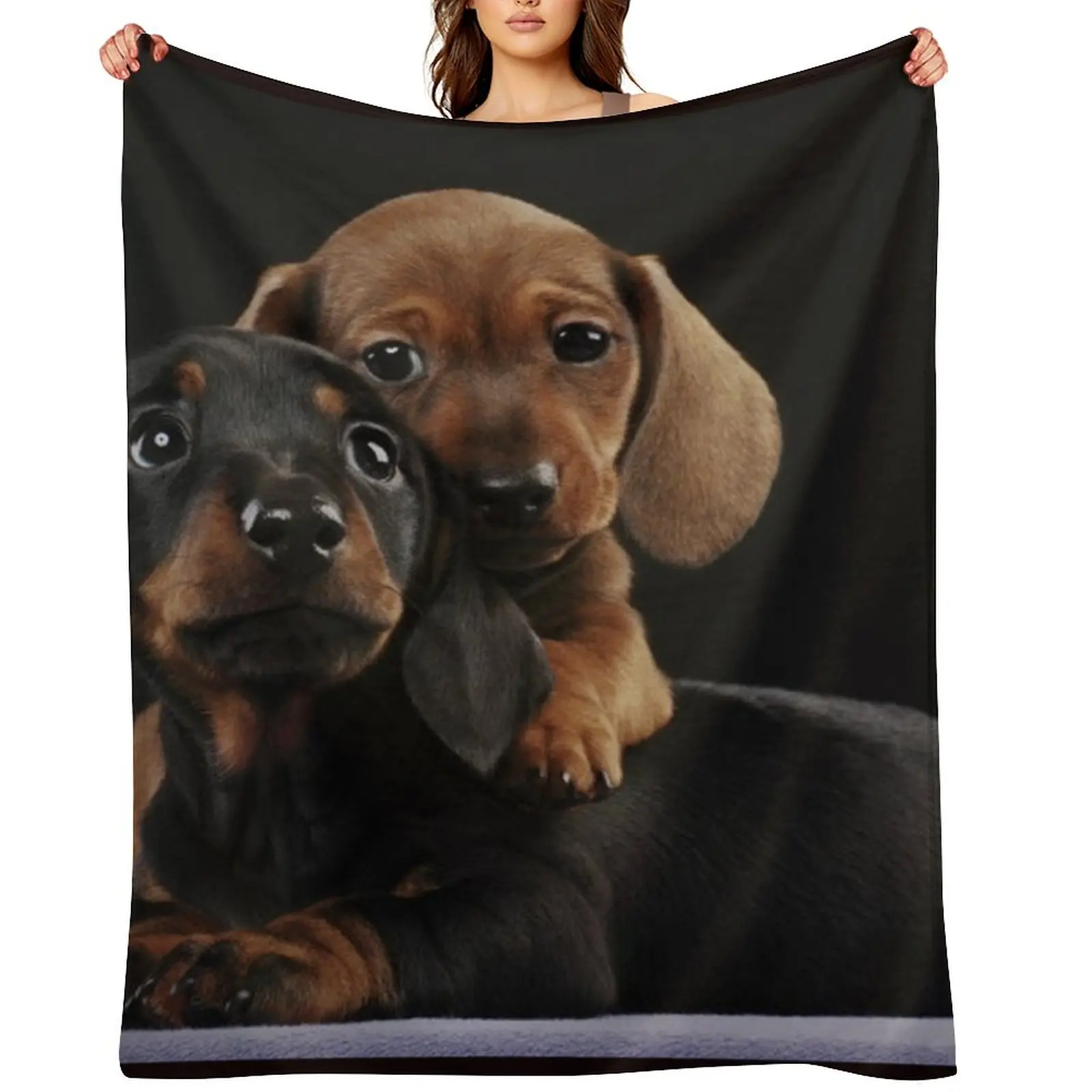 

Dachshund Dog portrait photo pupies Throw Blanket Soft Polar Beautifuls Weighted Blankets