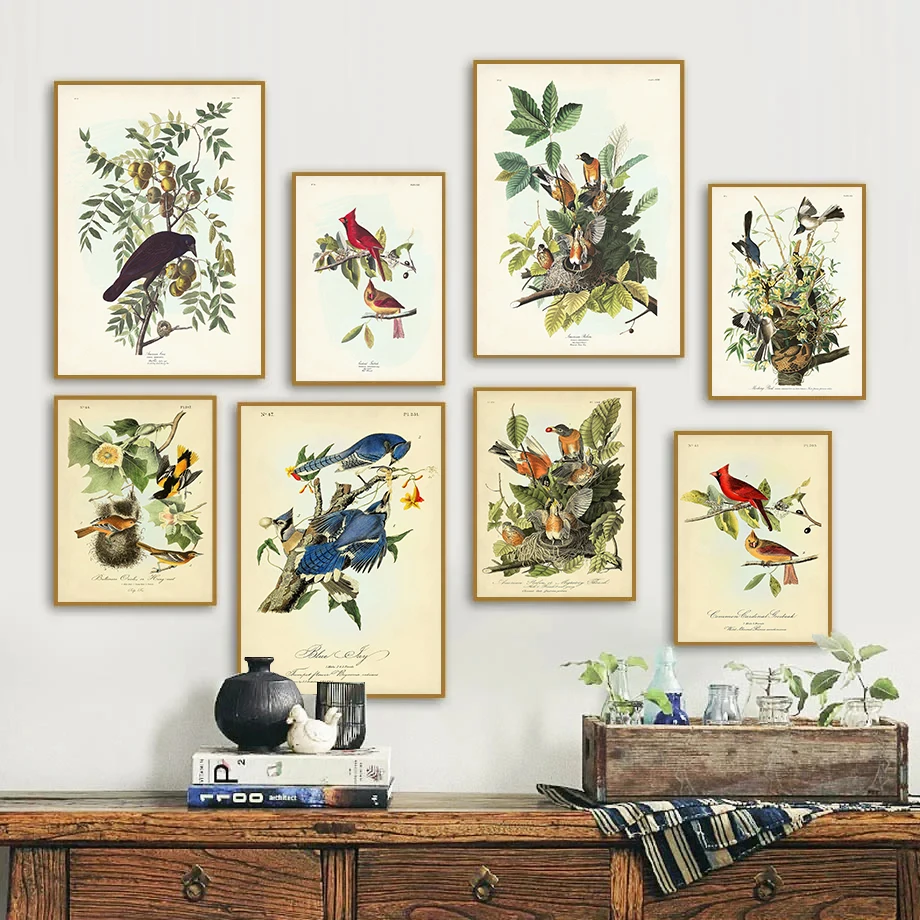الطيور الأمريكية النباتية الطائر المحاكي ، روبن المشارك حائط لوح رسم صورة فنية ديكور المنزل الكلاسيكية خمر Audubon الفناء الخلفي