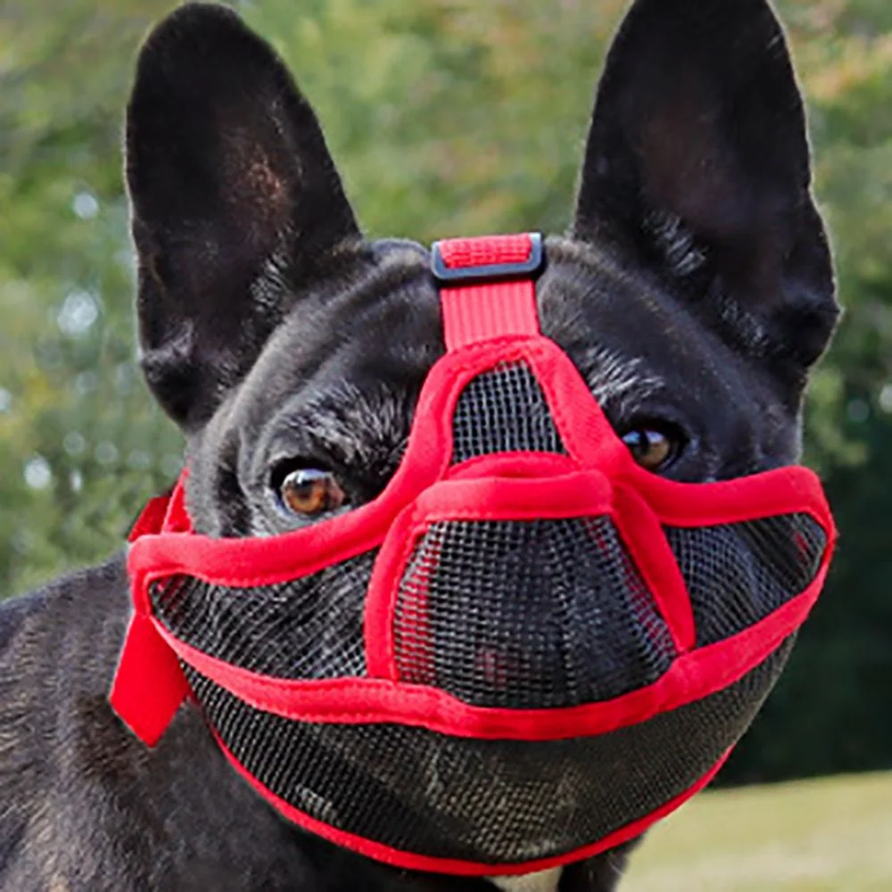 

Adjustable Pet Dog Mask Anti-barking Prevent Accidental Eating Bulldog Mask Anti-biting Mesh Design Pet Dog Muzzles