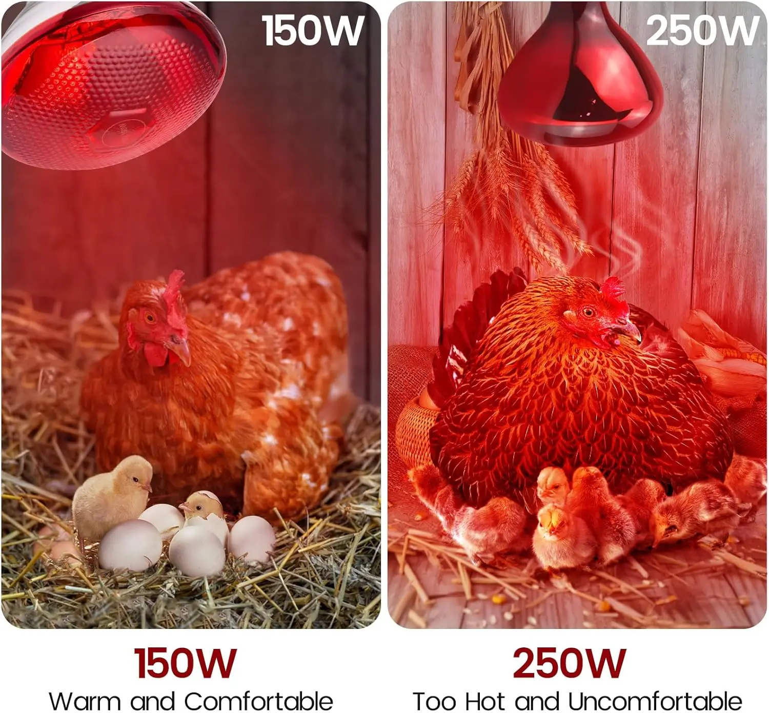 E27 Infrared Heat Lamp for Chickens 220V 100-275 Watts Red Heat Lamp Bulb Heat Light Bulb for Brooder Coop Chicks Pet Reptile