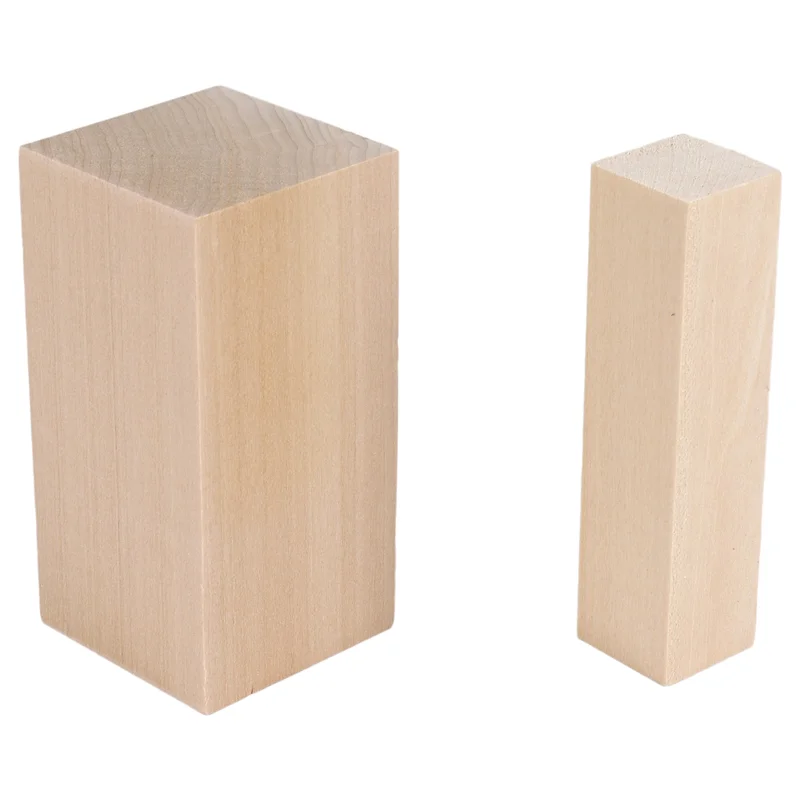 F-T Paquete de 10 bloques para tallar tilo, kit de bloques para tallar en blanco para principiantes, bloques para tallar de madera sin terminar (5L + 5S)