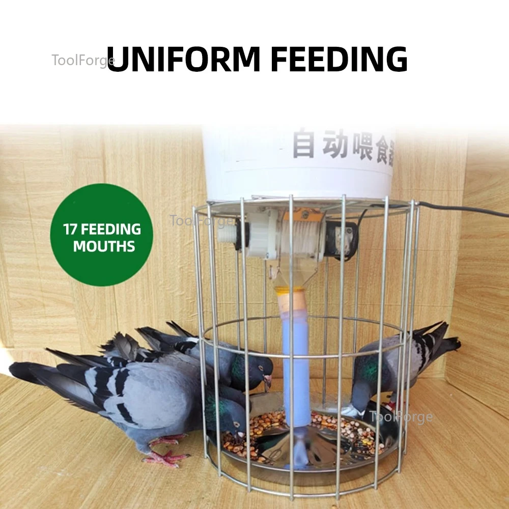 Automatic Pet Feeder Birds Food Dispenser Smart Timing Control Pet Feeder For Pigeon Chicken Duck Feed Dry Food 220V 20L