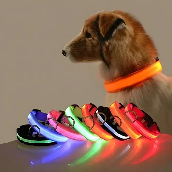 Collar para perro de nailon LED de seguridad nocturna intermitente que brilla en la oscuridad correa para perro mascota accesorios fluorescentes luminosos para perros 1