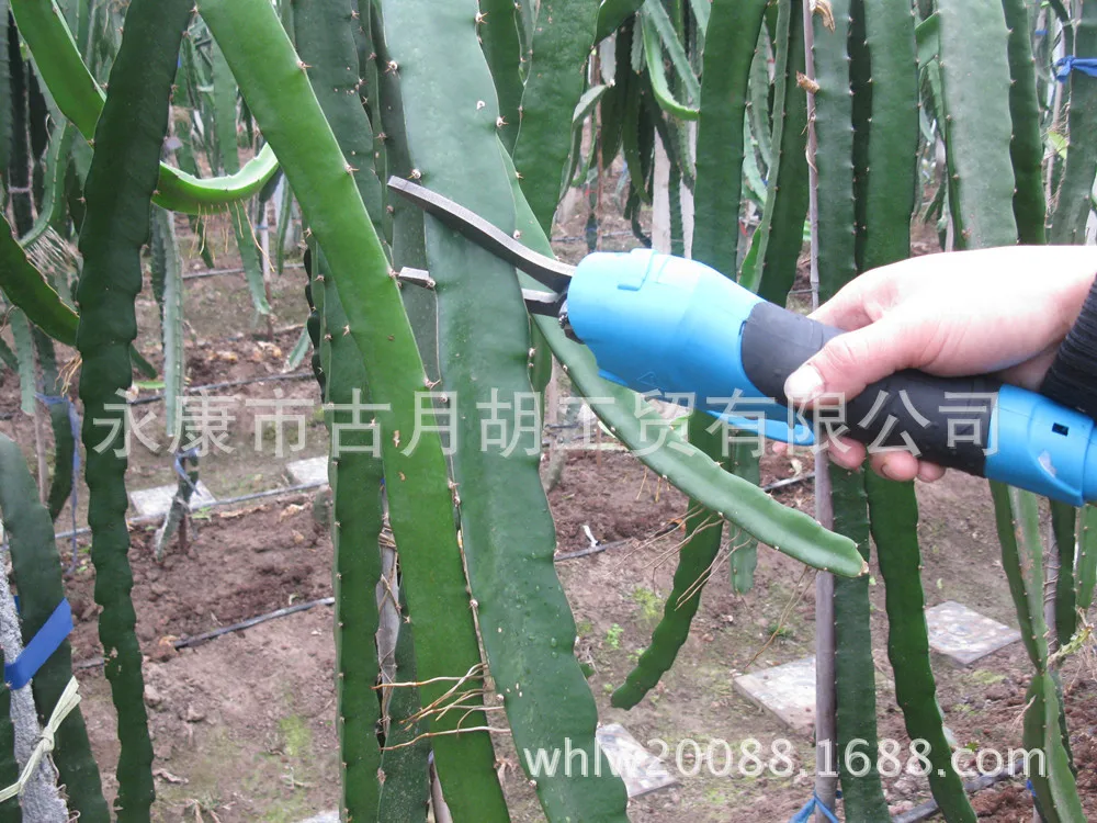 Pitaya electric pruning shears pruning machine pineapple picking shears