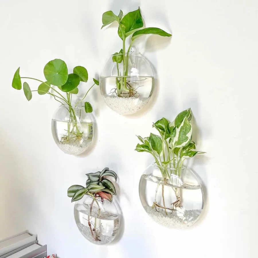 Propagation Station Vase - Muuropknoping Glazen Plant Terrarium Container Voortplanting
