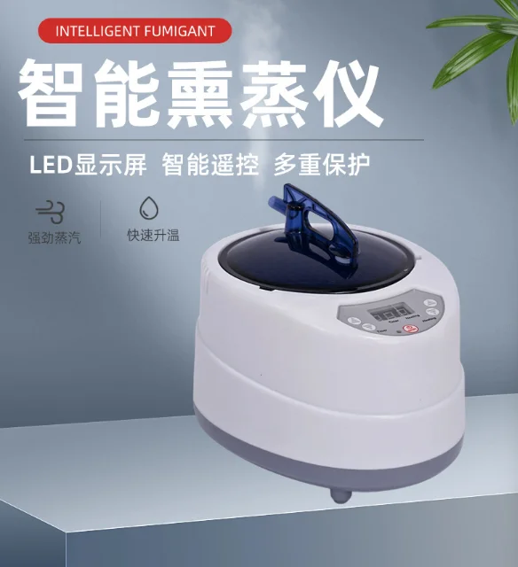 Steam Generator 220V/110V EU US Plug 1000W Upgrade Capacity 2L Home Steamer Pot For Sauna Water Vapor