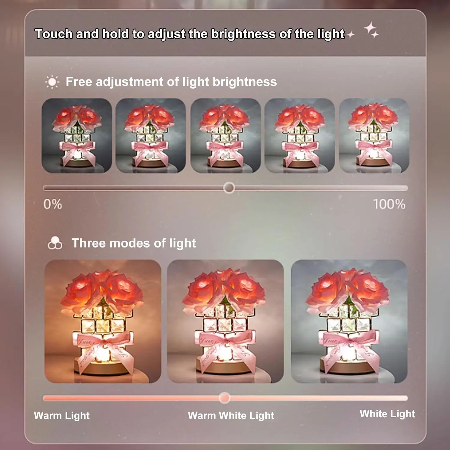 Regalo di San Valentino per la fidanzata Rosa eterna Luce a LED Fiore di cristallo Luce notturna Festa della mamma Bomboniere Regalo da damigella d'onore