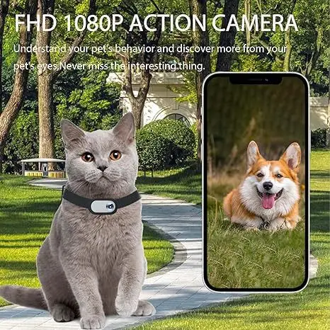 Pet Smart Cat Dog Camera Collar HD Dog Outdoor Sports Collar Camera Cycling Camera Pet Supplies