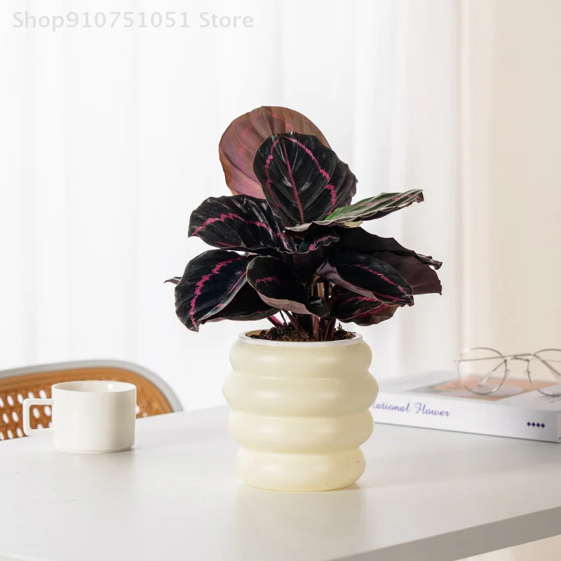 Plastic Flower Pot Thickened Resin Round Three-dimensional Tabletop Flower Pot For Home Decoration