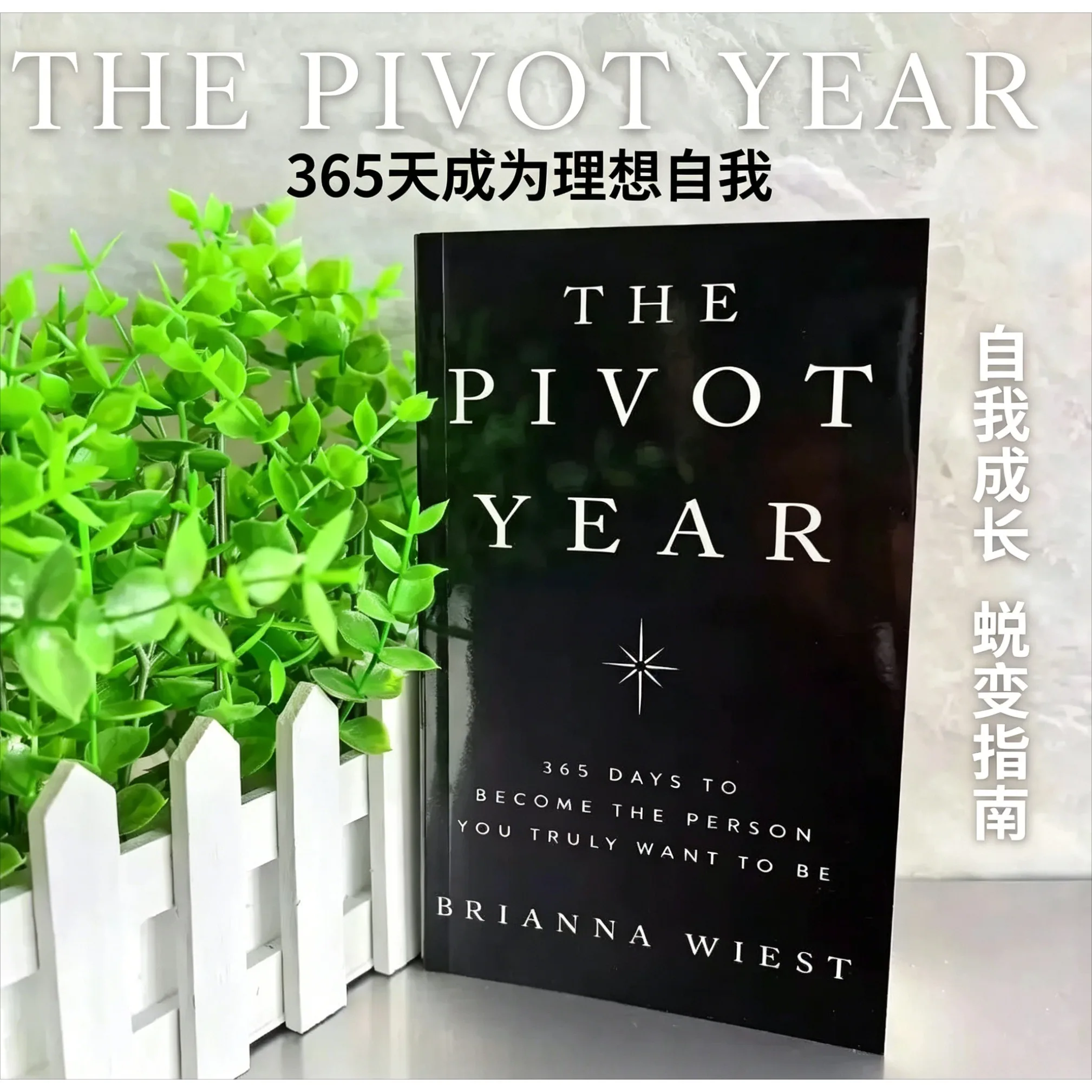 The Pivot Year:365 …