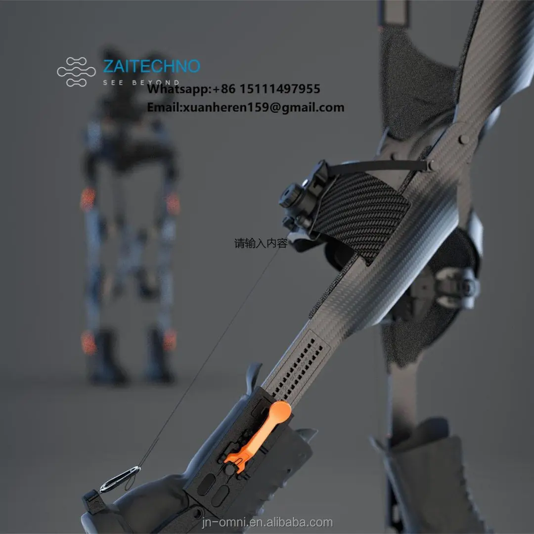 Effortless Mobility: Passive Load Bearing Exoskeleton for Individuals with Physical Limitations
