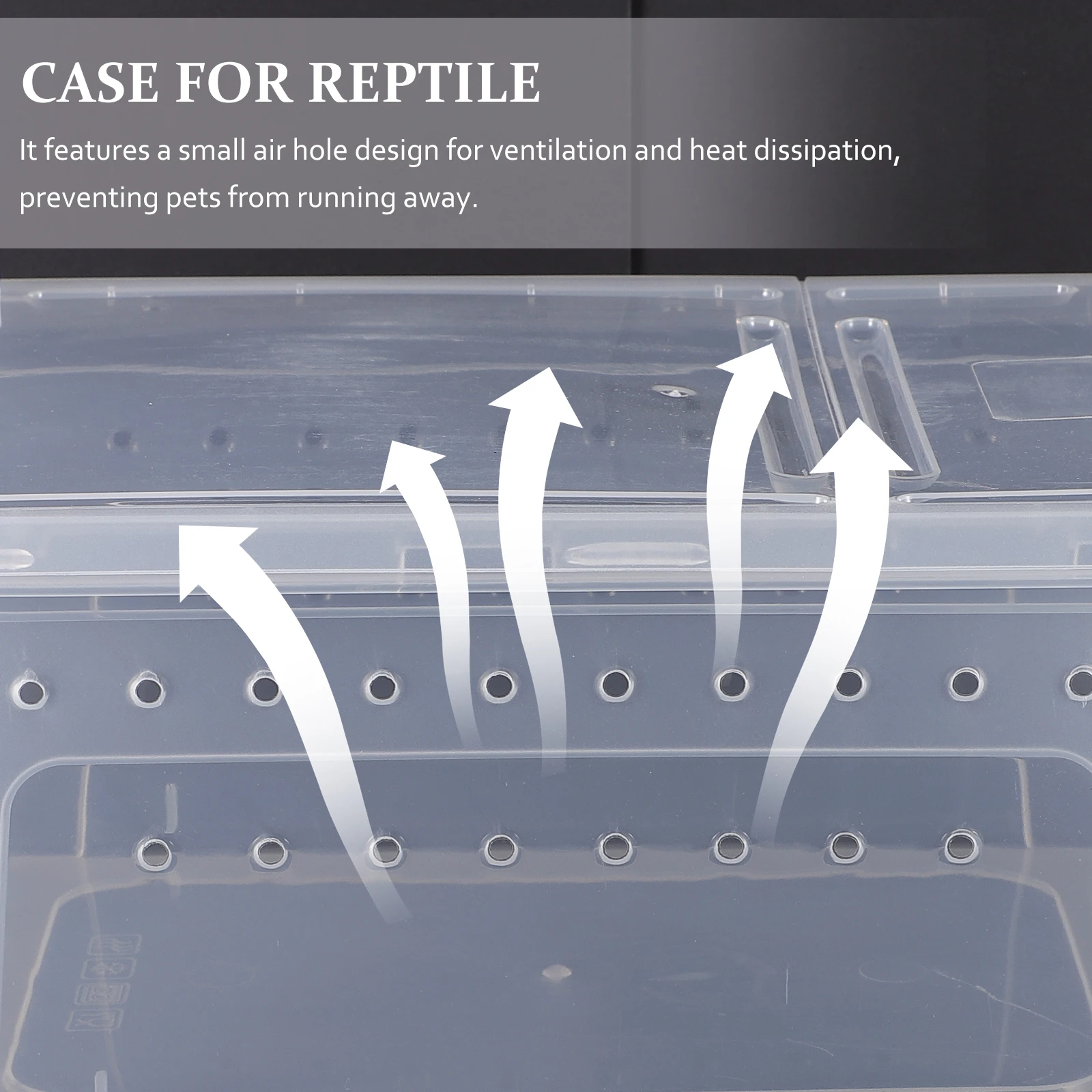 

Pp Feeding Box Reptile Cage Storage Container Ventilation Holes Anti-Escape Design Durable Plastic Case Snake Gecko Tarantula
