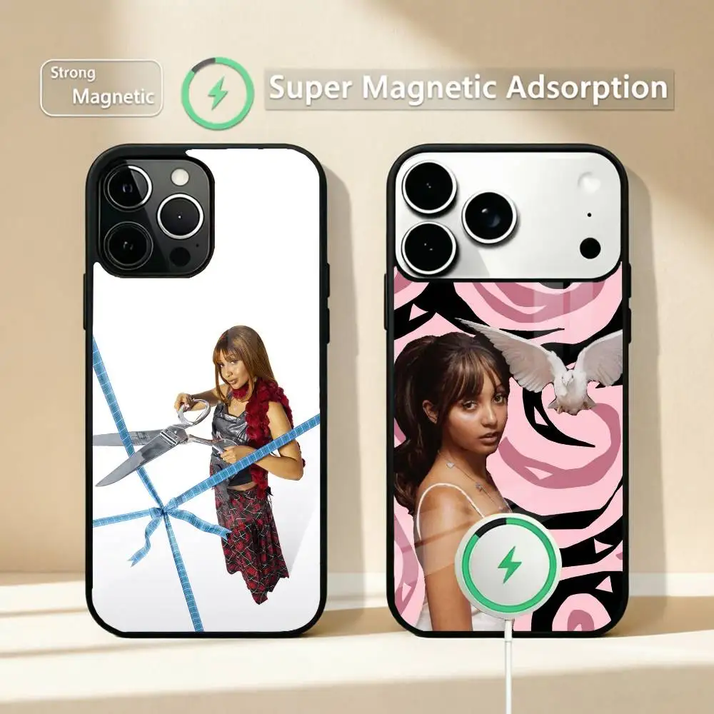 Hot Singer P-Pink PanthereSS-S Lovely Phone Case For iPhone17,16,15,14,13,12,11 Plus,Pro Supports Magnetic Wireless Charging