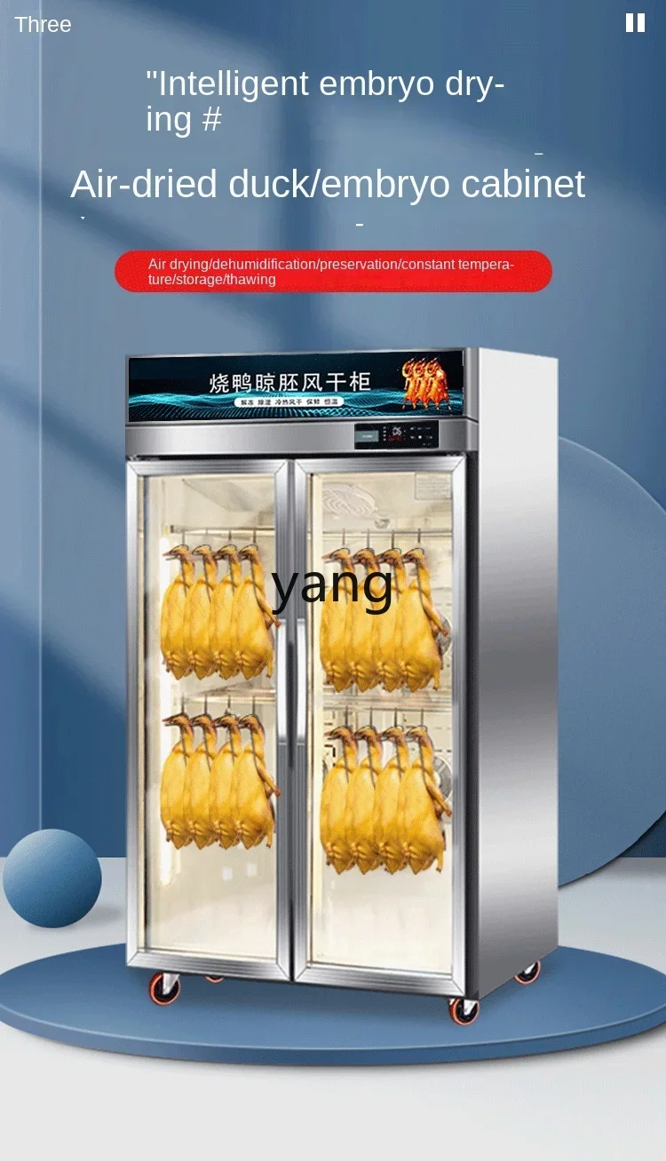 X Dryer Defrosting Roast Duck Air-Drying Fresh-Keeping Dehumidification Embryo Drying Cabinet view 4