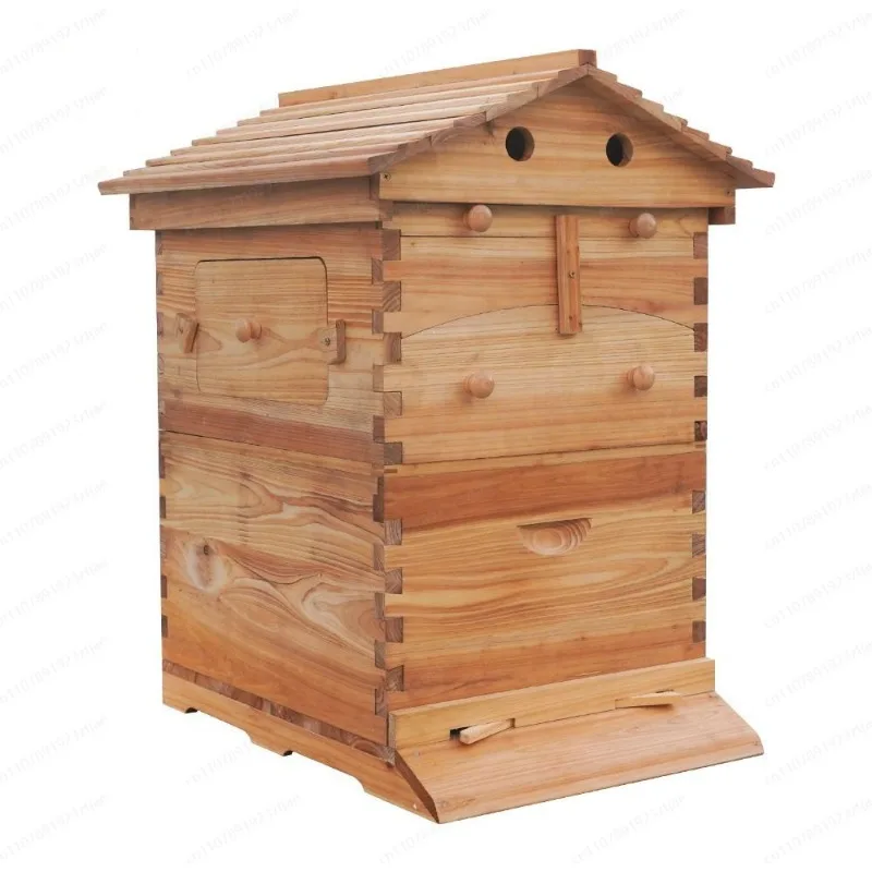 Golden Automatic Hive 2 Beehive 7Pcs Box Flows Frame