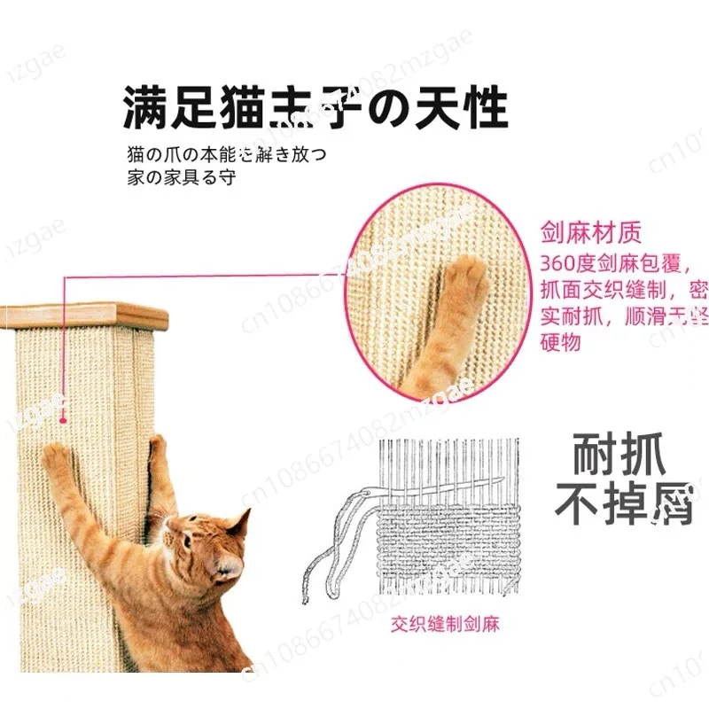 Roman column, grinding claws and playing without mistake, the cat rests and decompresses the self-hi vertical