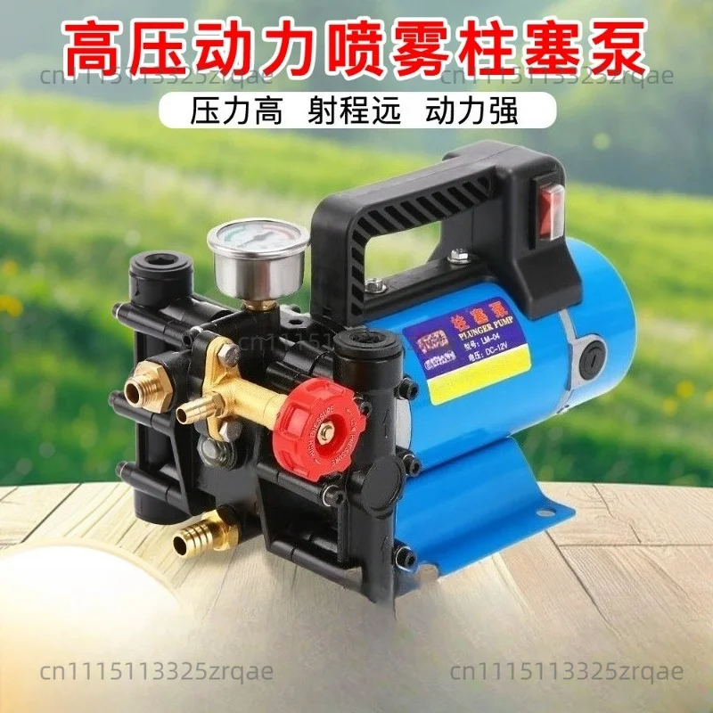 Agricultural Electric High Pressure Pump Spraying Watering Car Wash Irrigation Double Cylinder Piston 12V/24V/48V/60V/220V