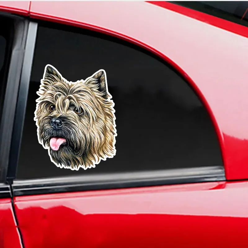 Various Sizes Self-adhesive Decal Cairn Terrier Dog Car Sticker Waterproof Auto Decors on Bumper Rear Window 8/13/17/20CM