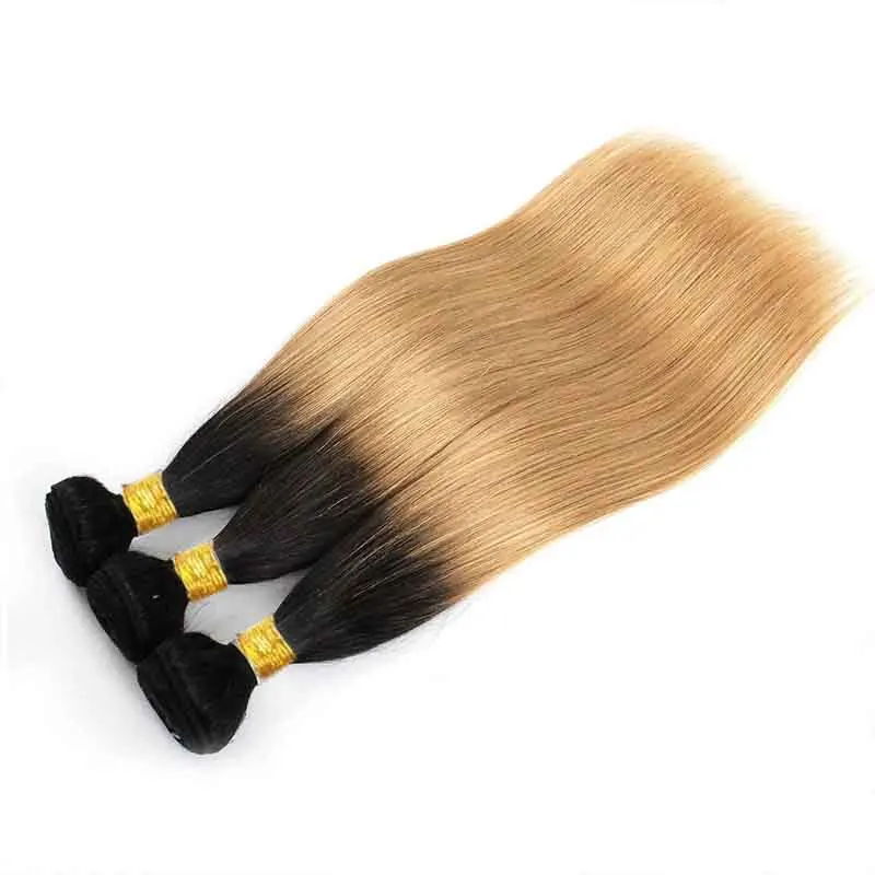 Mèches Naturelles Lisses Blond Ombré 1B/27, Extensions de Cheveux Vierges à Double Trame 12-26 Pouces, 100g/Pièce