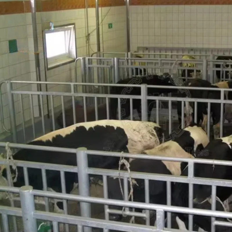 Automatic Halal Muslims Beef Abattoir Machine Cattle Slaughter Equipment with Motor Bearing Core Components for Slaughter Line