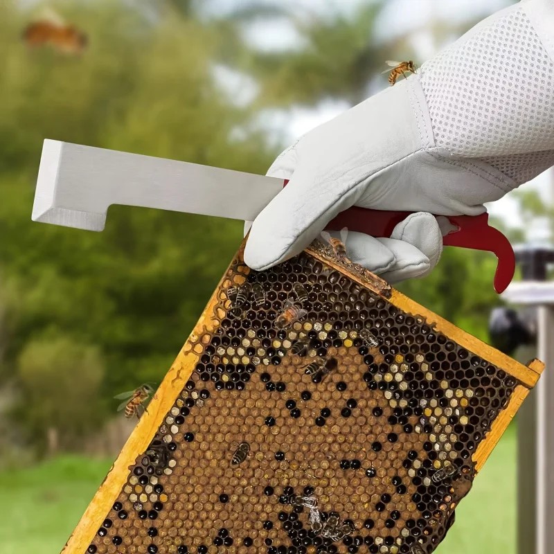 J Shape Bee Hive Scraper Multifunctional Frame Prying Wax Remover Nail Puller Honeycomb Cleaning Beekeeping Special Tool