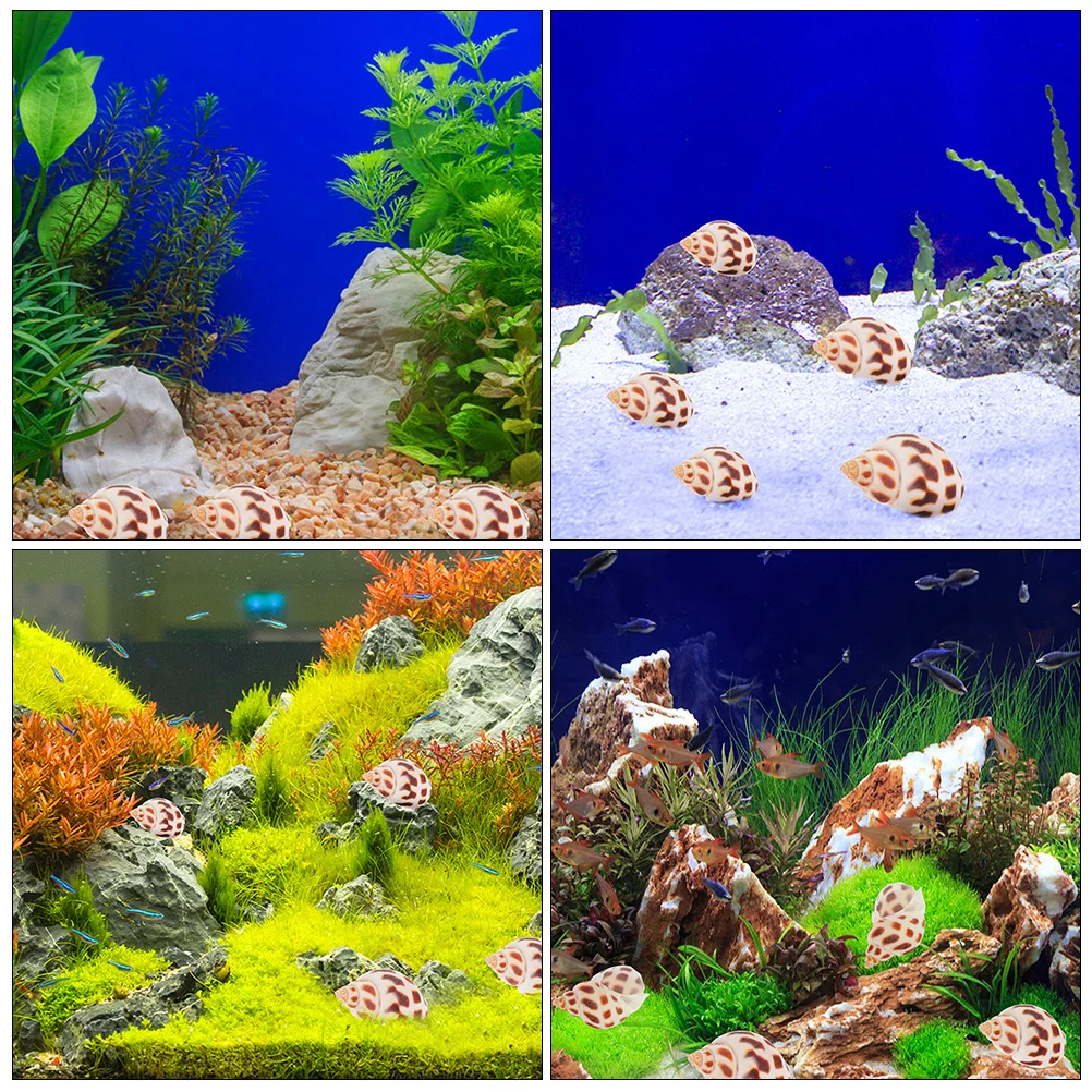 

160Pcs Seashell Ornaments Set for Aquarium Micro Landscaping Decorative Vases Crafts Conch Shell Kit Natural Home Decoration