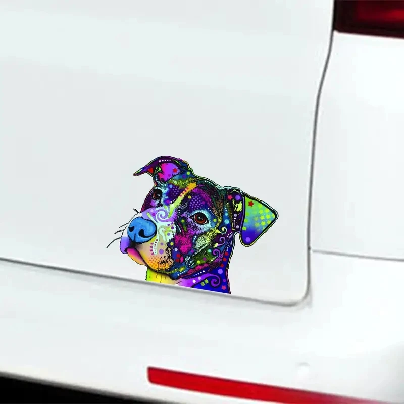 حفرة الثور الكلب ملصقات السيارات ، ملصق حائط من الفينيل للنوافذ ، مصدات ، أجهزة الكمبيوتر المحمولة ، مقاوم للماء اكسسوارات السيارات