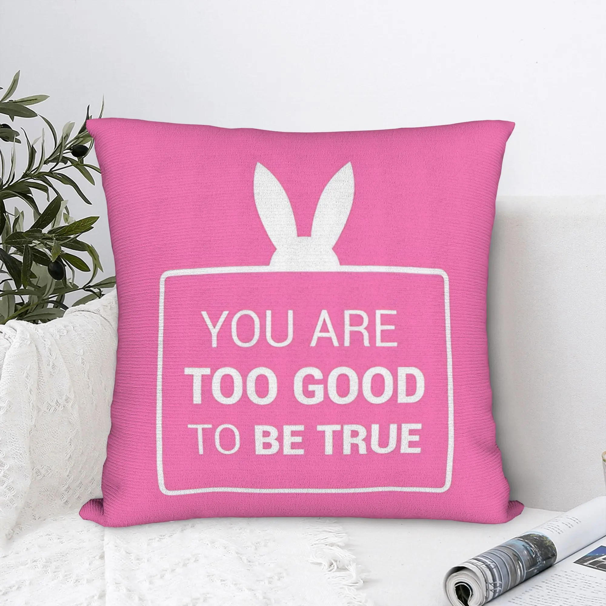 Singer Arianas Grandes Pillow Cover  Comfy Cushion Cover Cute Funny Pillow Case For Living Room Chair