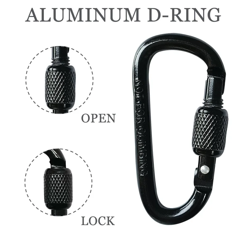 2/5Pcs D-Shape Carabiner Clasp with Screw Gate,6CM Mini Keychain Clip Key Chain Buckle,Hook for Outdoor Hiking Not for Climbing