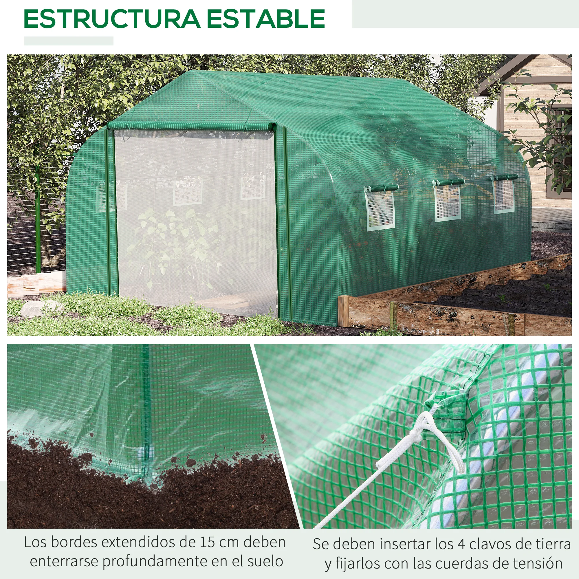 Imagen 5