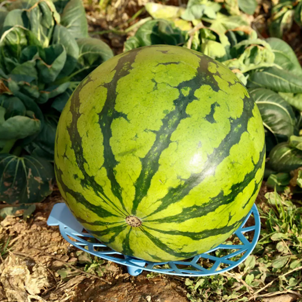 

3 Pcs Watermelon Cradles for Garden Fruit Holder Multifunction Support Plastic Tray Plant