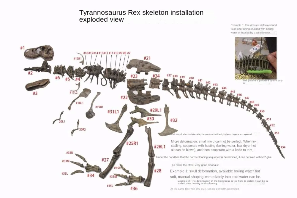 Home Garden Ornaments, Large Dinosaur Tyrannosaurus Rex Model, Skeleton Fossil Model Manually Spliced High Simulation Sculptures