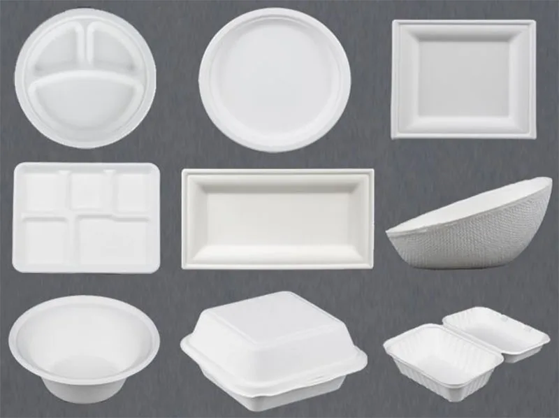 Sugarcane Bagasse Pulp plate Dish tray Making Machine Paper Pulp Molding Machines