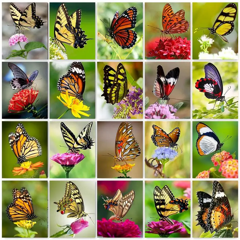

GATYZTORY Diamond Painting Butterfly Mosaic Embroidery Colorful Flower Animal Art Gift Needlework Full Kits 30x40cm